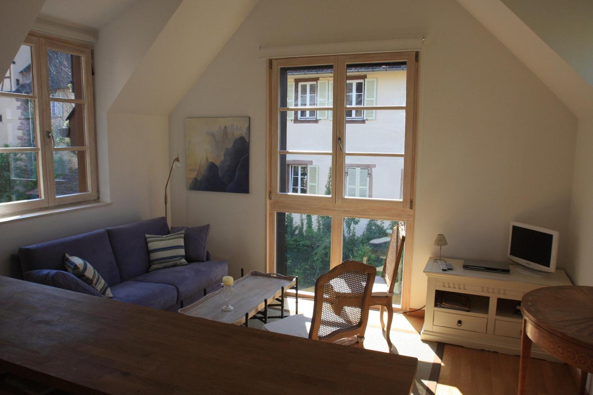 Petite Venise Apartment Colmar Ngoại thất bức ảnh