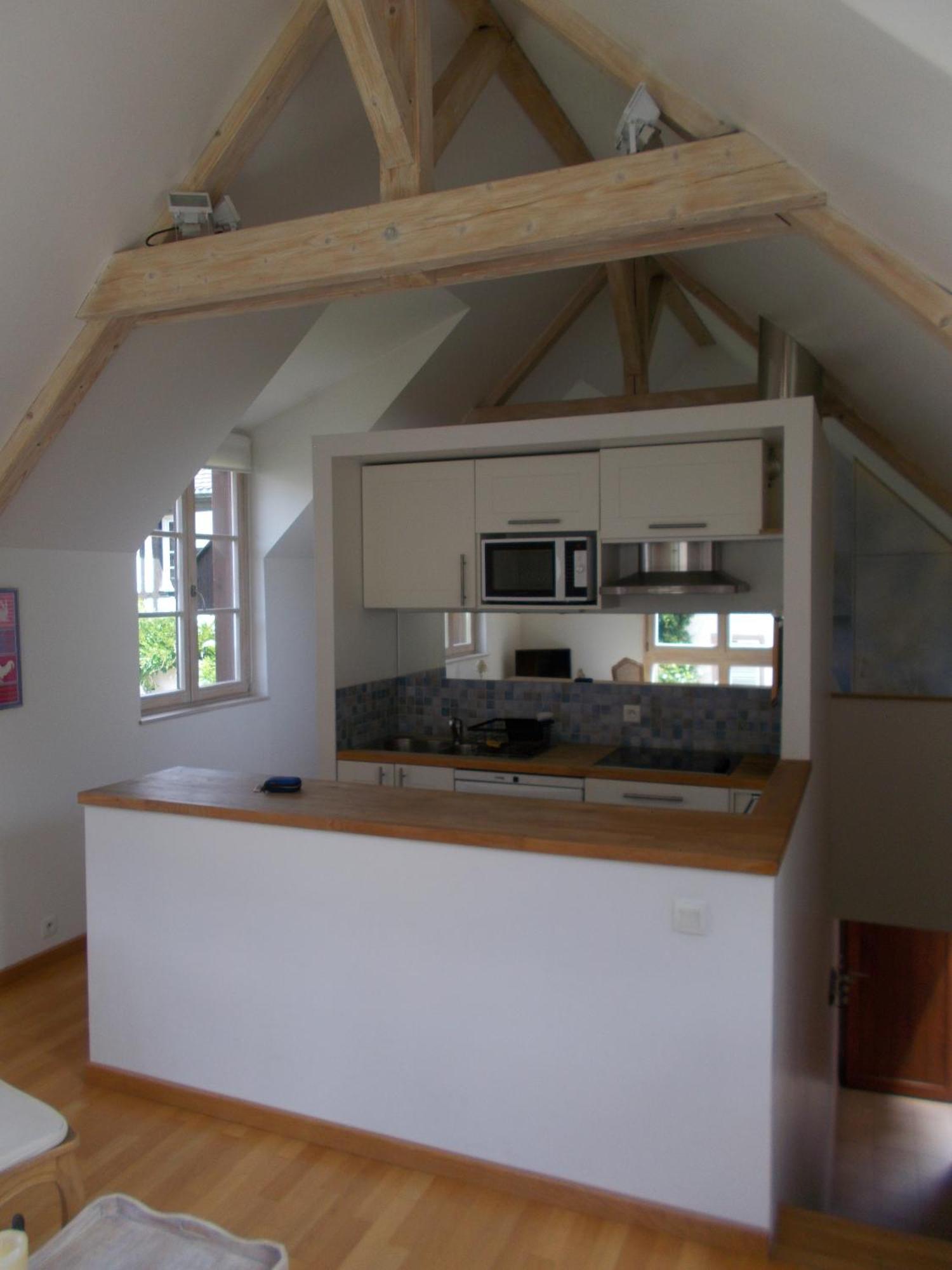 Petite Venise Apartment Colmar Ngoại thất bức ảnh