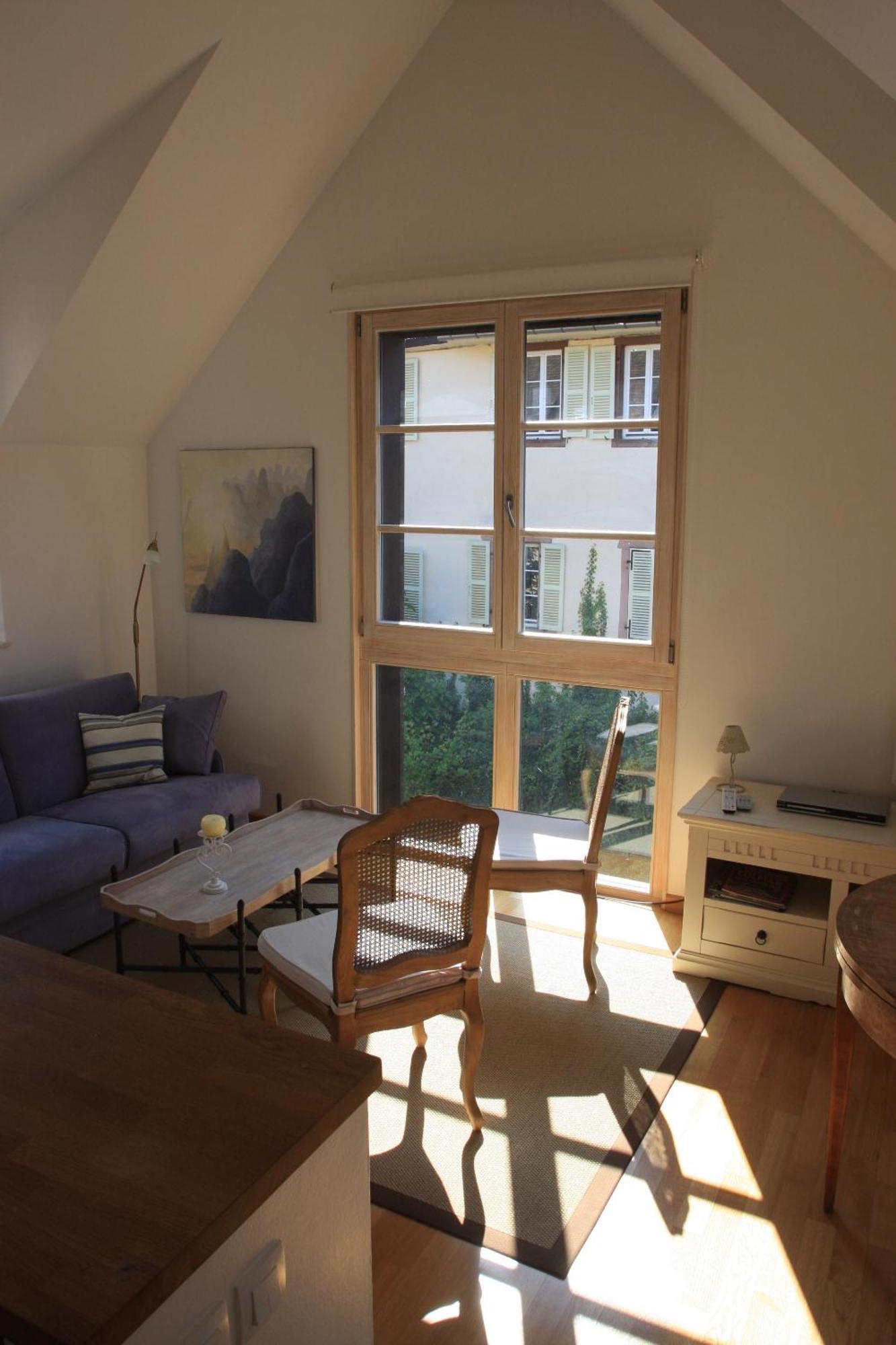 Petite Venise Apartment Colmar Ngoại thất bức ảnh