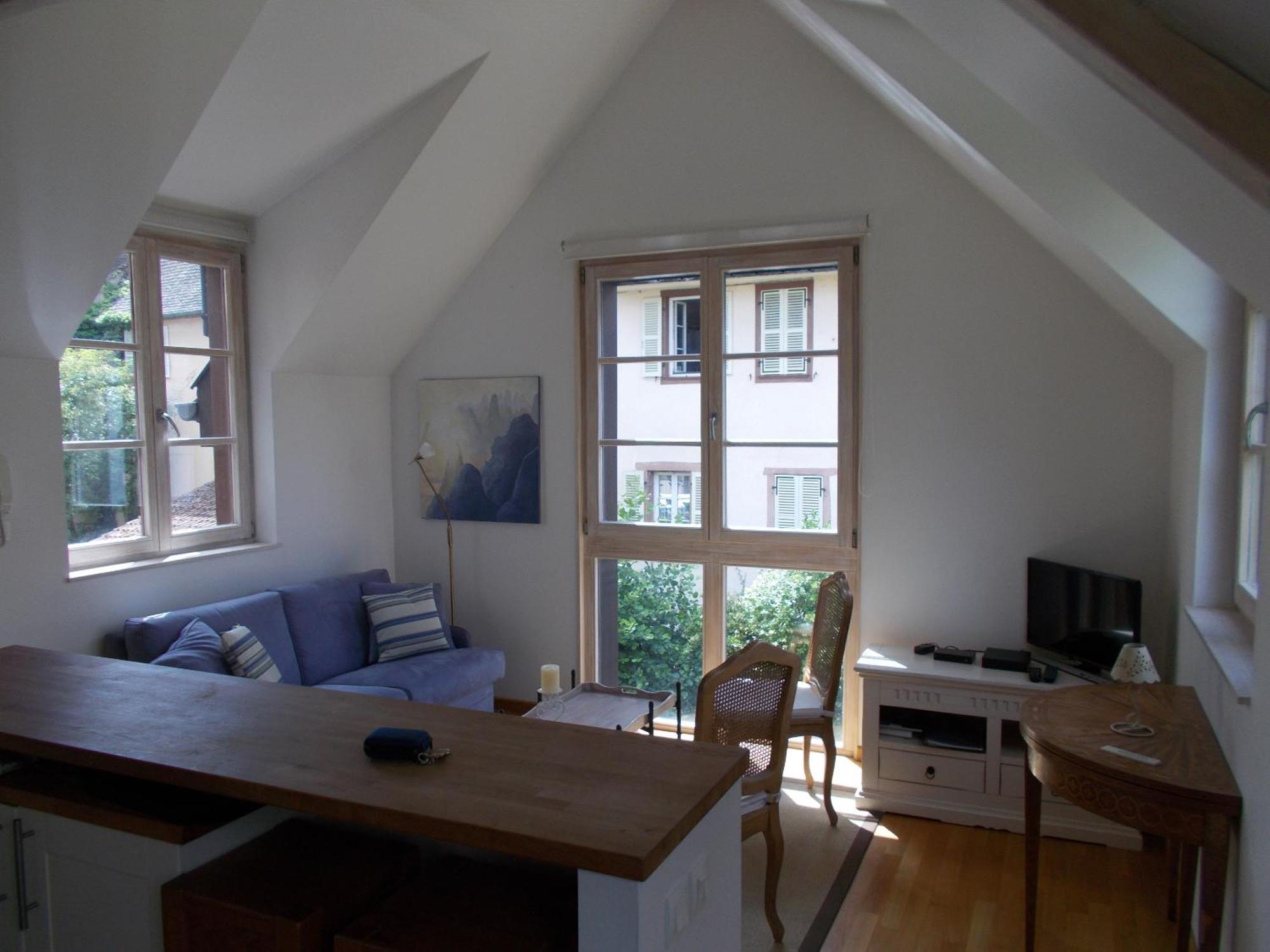 Petite Venise Apartment Colmar Ngoại thất bức ảnh